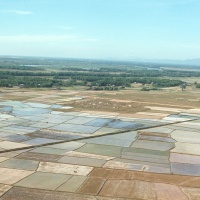 Paddies south of Danang