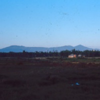 Freedom Hill