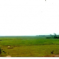 Searching for my Squadron (photo 1 of 5)