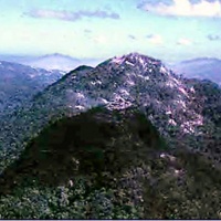 Hill 950