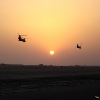 46's at sunset