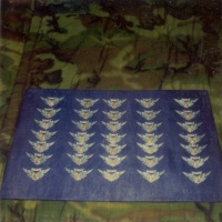 Combat Aircrew Wings