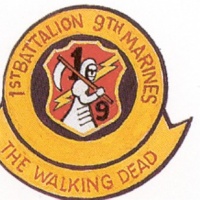 ONE NINE the WALKING DEAD
