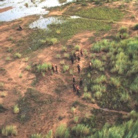 Hovering over riverside medievac landing zone