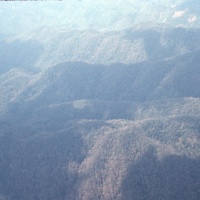 Ammanese mountain jungle