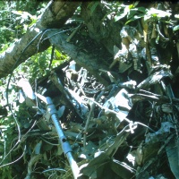 IMG00064.JPG