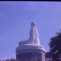 IMG00073.JPG