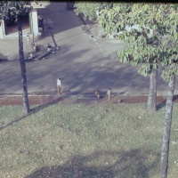 IMG00077.JPG