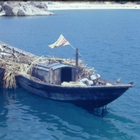 IMG00103.JPG