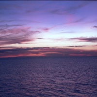 IMG00115.JPG