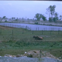 IMG00141.JPG