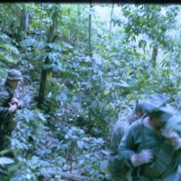 IMG00154.JPG