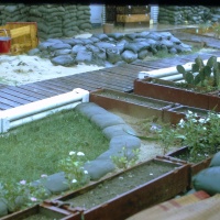 IMG00161.JPG