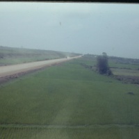 IMG00168.JPG