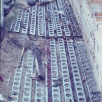 IMG00188.JPG