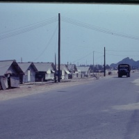 IMG00204.JPG