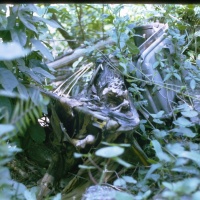 IMG00231.JPG
