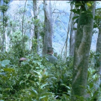 IMG00234.JPG