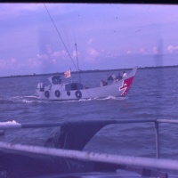 IMG00314.JPG