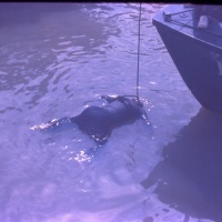IMG00316.JPG