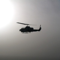 Cobra Escort