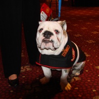 Retired Mascot