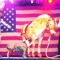 Dog and Pony Show