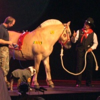 Dog and Pony Show
