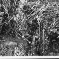Recon Unit needs extraction 1969