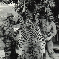 Tiger captured by RECON