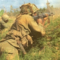 Cover Fire