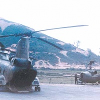 Sparrowhawk Standby