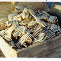 Vmo-6 Gunship M-60 Ammo