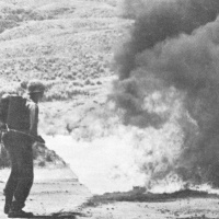 YES Flamethrowers were used in Vietnam