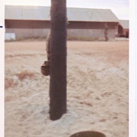 VMO-6 Marine Cover and Concealment