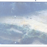 VMO-6 Gunships In Flt