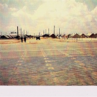 Tarmac