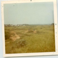 Graves