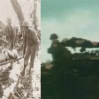 Marine Corps Wounded WWII & VIETNAM