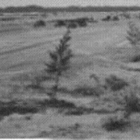 Seabees building SATS airstrip at Chu Lai May 1965