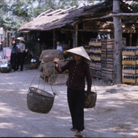 VC in the Ville south west of Chu Lai Sept. 1965.