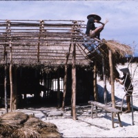 Building Hut in Ville south west of Chu Lai Sept. 1965.