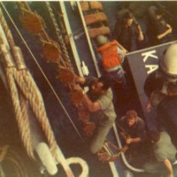Rescue Teams returning with crew and swimmers