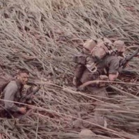 Insertion 1/19/68