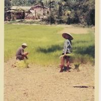 Vietnam-Bases-Danang-3736.jpg