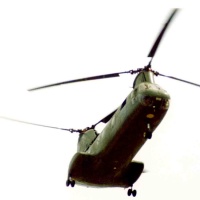Fly Over