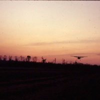 Army Birddog