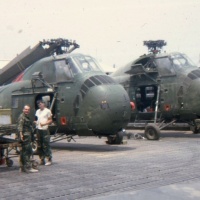 HMM-363 Birds