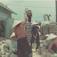 NICE HATS