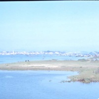 NEAR DANANG